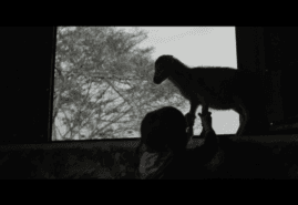 SHORT FILMS AT THE FESTIVALS IN JANUARY