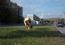 POLISH-GERMAN PROJECT AWARDED AT EAST DOC PLATFORM