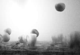 "Fugue for cello, trumpet and landscape" dir. Jerzy Kucia&nbsp;