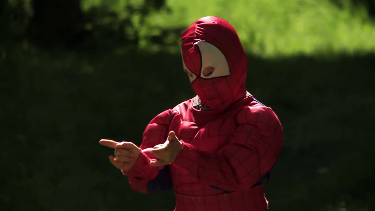 IF I ONLY WERE A SPIDER