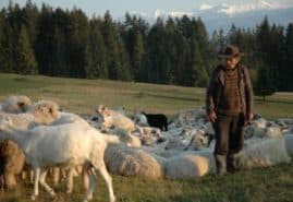 "The Dog Hill", dir. Grzegorz Zariczny<br />