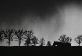 POLISH SHORT FILMS AWARDED AT THE ITALIAN FESTIVAL