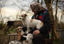 „BUKOLIKA” W KINIE ILUZJON