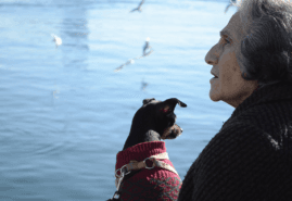 „LEOCADIA’S DREAM” WINS THE AUDIENCE AWARD