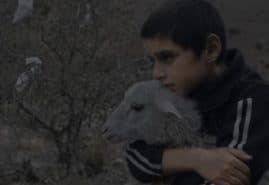 "Milky brother"&nbsp;dir. Vahram Mkhitaryan