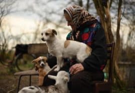 "Bucolic", dir. Karol Pałka<br />