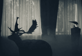 „OF ANIMALS AND MEN” AWARDED AT THE ITALIAN FESTIVAL
