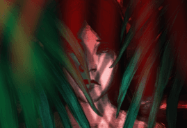 OVULE, dir. 