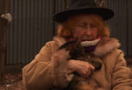KITTY, KITTY, dir. 