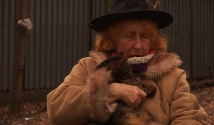 KITTY, KITTY