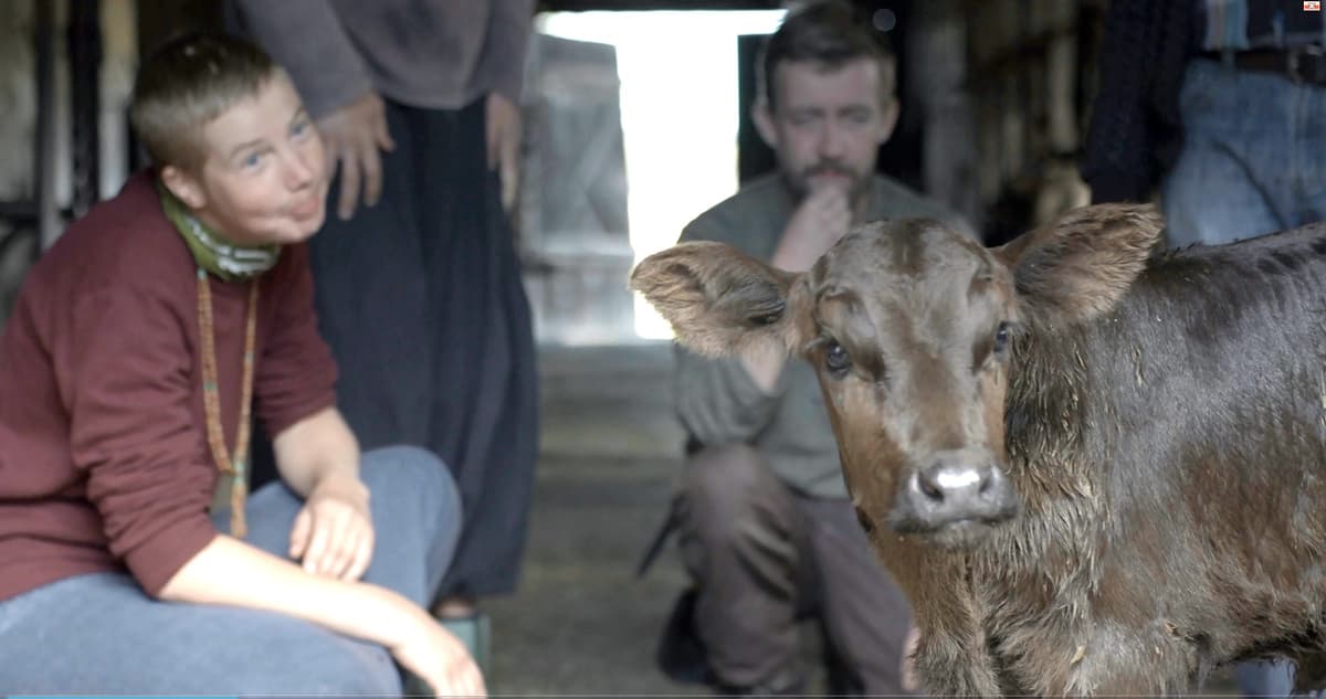 VILLAGE OF SWIMMING COW