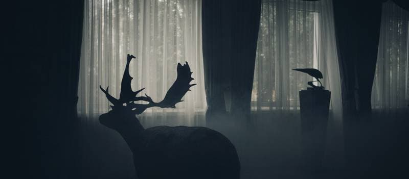 OF ANIMALS AND MEN