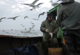 „LAST SEASON” BY SŁAWOMIR WITEK  – INTERVIEW WITH THE FILM’S AUTHOR