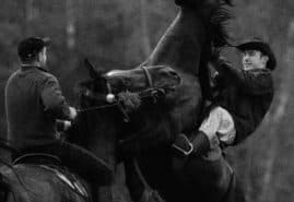 THE REVIEW OF „HORSE RIDERS” BY ANNA GAWLITA