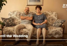 THREE POLISH PROJECTS AT BALTIC SEA DOCS