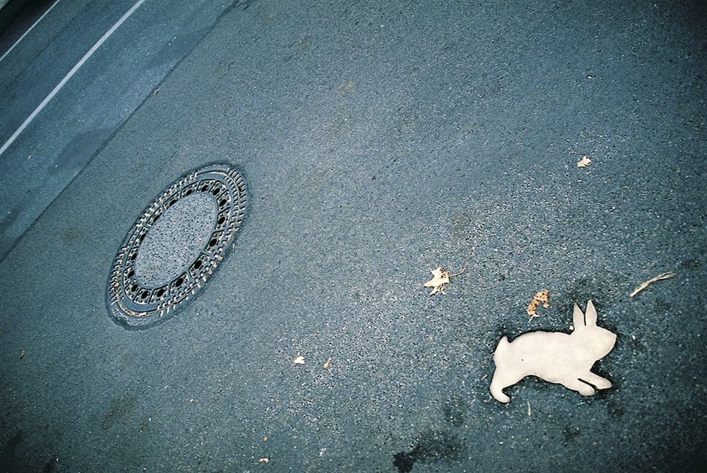 RABBIT A LA BERLIN