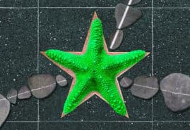 STONE STORY, dir. 