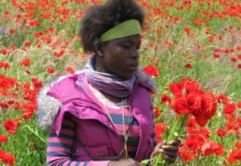 AFRICAN DREAM, dir. 