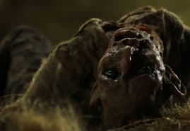 INCARNATION, dir. 