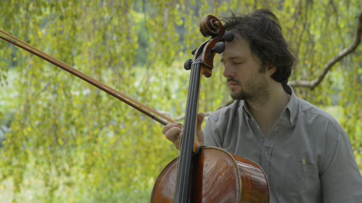 RIGHT SIDE OF CELLO