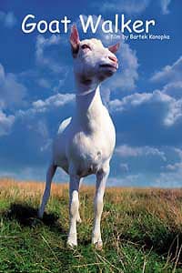 GOAT WALKER, dir. 