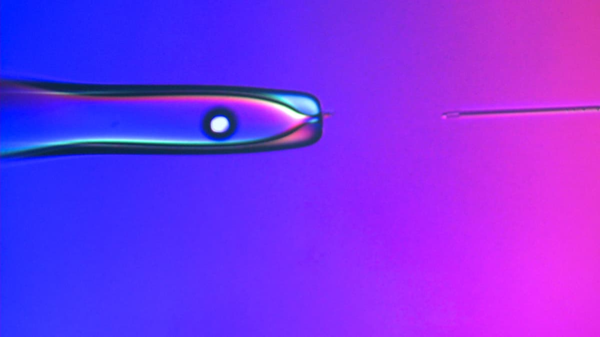 HERE I AM