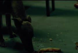 BACCHANALIA, dir. 
