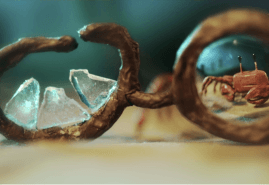 “CRAB” WINS OSCAR-QUALIFYING AWARD