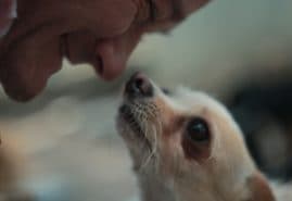 EVERYTHING NEEDS TO LIVE, dir. 