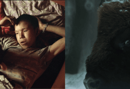 “KOKA” AND “BLOODLINE” AWARDED IN BULGARIA