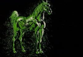 HORSE PORTRAIT, dir. 
