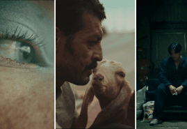 POLISH SHORT FILMS AT BRUSSELS SHORT FILM FESTIVAL