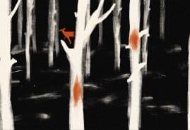 BARBARA SYNAK’S “TERRITORY” RECEIVES A SPECIAL MENTION AT SHORTS MÉXICO